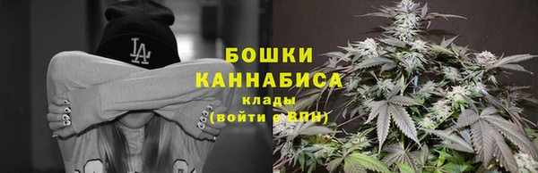 твердый Медногорск