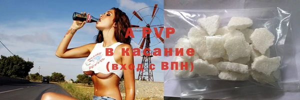 гашик Мегион