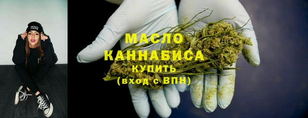 гашик Мегион