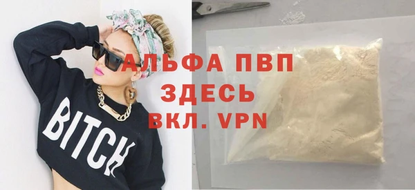 гашик Мегион