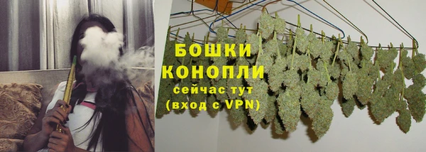 гашик Мегион