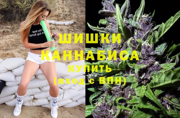 твердый Медногорск