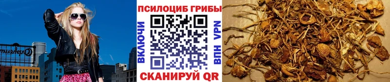 Галлюциногенные грибы мицелий  Купить  Тюкалинск 